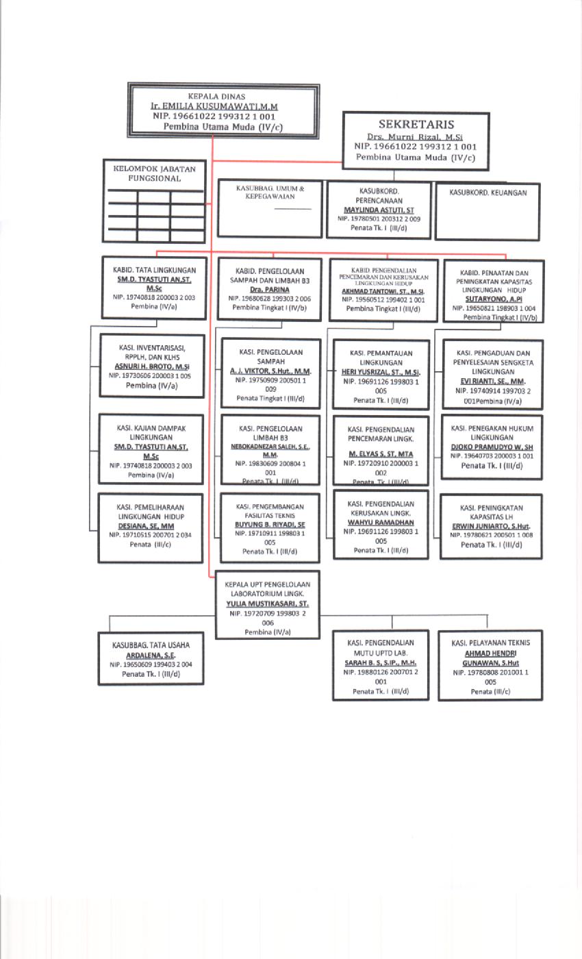 Struktur Organisasi